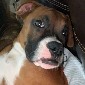 Meet your Posher, Casscassidy